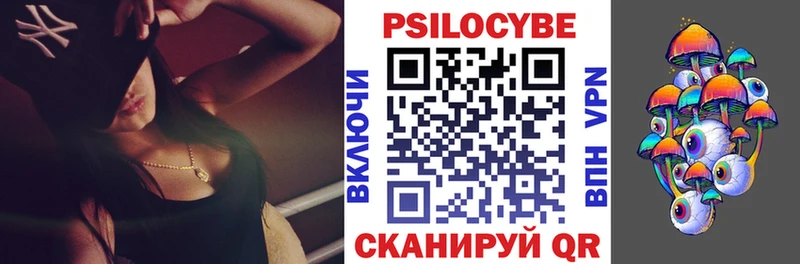 купить  цена  kraken зеркало  Псилоцибиновые грибы мицелий  Качканар 