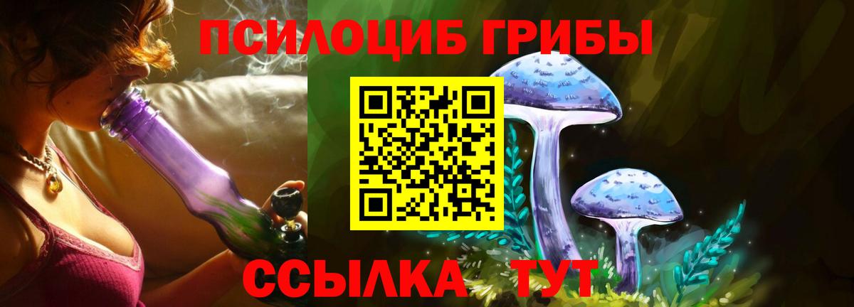 Галлюциногенные грибы GOLDEN TEACHER Качканар